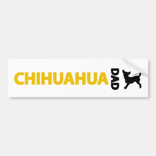 Chihuahua Dad Bumper Stickers