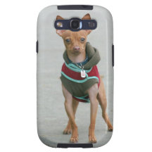 Chihuahua dog galaxy s3 cover
