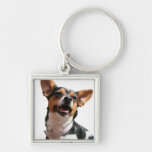 Chihuahua Dog Keychain