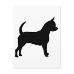 Chihuahua Dog Post Card