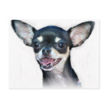 Chihuahua dog post cards