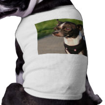 Chihuahua dog shirt