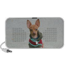 Chihuahua dog travel speakers