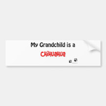 Chihuahua Grandchild Bumper Sticker