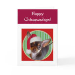 Chihuahua Holiday Card