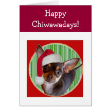 Chihuahua Holiday Card