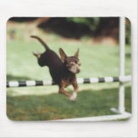 Chihuahua Jumping Hurdle Mousepad