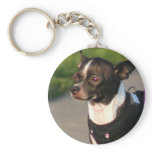 Chihuahua keychain