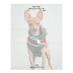 Chihuahua letterhead