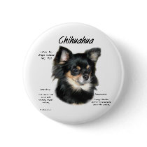Chihuahua (long) History Design