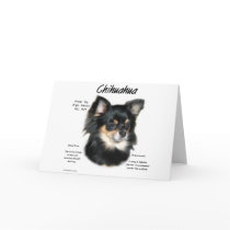 Chihuahua (long) History Design