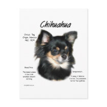 Chihuahua (long) History Design