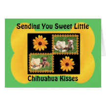 Chihuahua Lover Delight Greeting Cards
