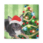 Chihuahua Merry Christmas Magnet