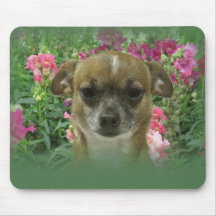 Chihuahua Mouse Mats