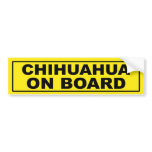 Chihuahua on Board