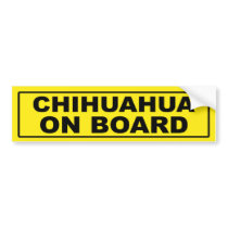 Chihuahua on Board