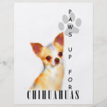 Chihuahua Paws Up Flyers