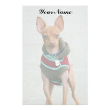 Chihuahua Personalized Stationery