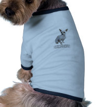 Chihuahua Pet Clothing