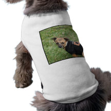 Chihuahua Pet Shirt