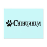 Chihuahua (pirate style w/ pawprint) post cards