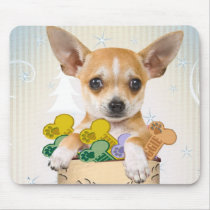 Chihuahua Posed with Cookie Jar
