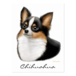 Chihuahua Postcard