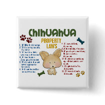 Chihuahua Property Laws 4