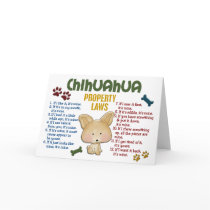 Chihuahua Property Laws 4