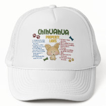 Chihuahua Property Laws 4