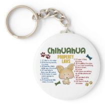 Chihuahua Property Laws 4