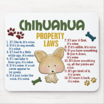 Chihuahua Property Laws 4