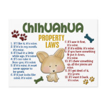 Chihuahua Property Laws 4