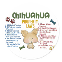 Chihuahua Property Laws 4