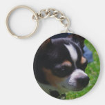 Chihuahua Pup Keychain