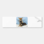 Chihuahua puppies 9W079D-020 Bumper Stickers