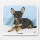Chihuahua puppy 9W079D-027 Mouse Pad