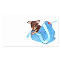 Chihuahua puppy business cards