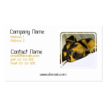 Chihuahua Puppy Business Card