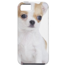 Chihuahua puppy case for the iPhone 5