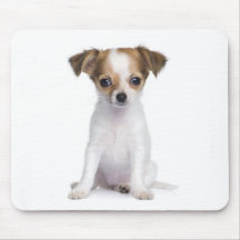 Chihuahua Puppy Dog Mousepad