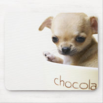 Chihuahua puppy in bowl (cropped) mouse pads