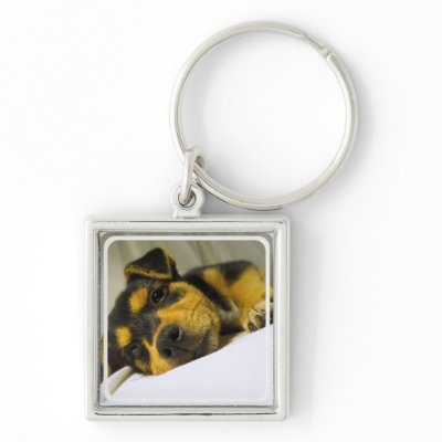 Chihuahua Puppy Keychain by DogPoundGifts