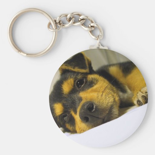 Chihuahua Puppy Keychain