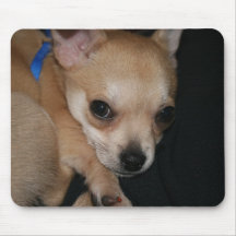Chihuahua puppy mouse mat