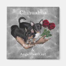 Chihuahua Roses Magnet