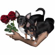 Chihuahua Roses Photo Sculpture