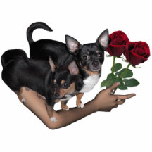 Chihuahua Roses Photo Sculpture