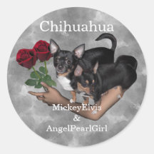 Chihuahua Roses Sticker Lrg